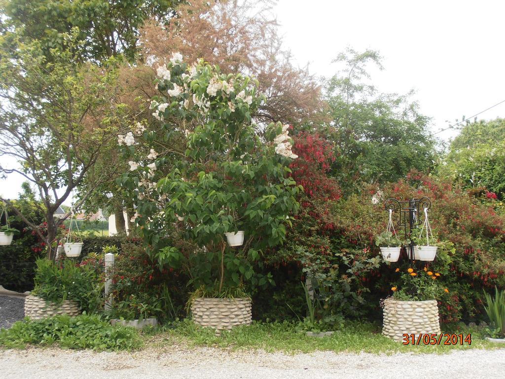 Les Galets Apartment Tracy-sur-Mer Exterior photo